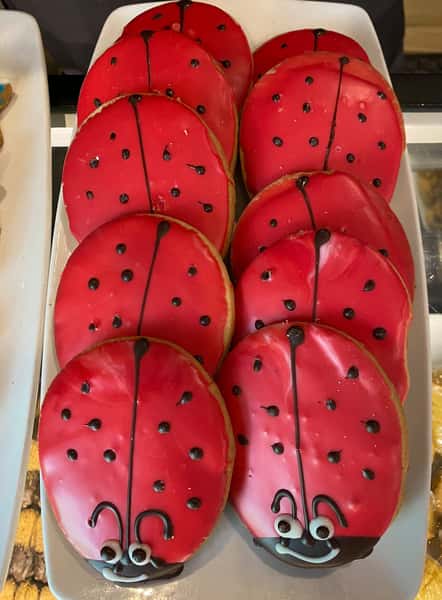 ladybug cookies
