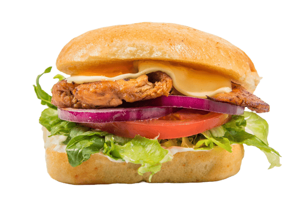 GRILLED CHICKEN SPECIAL