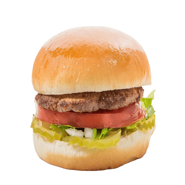 REGULAR HAMBURGER JR