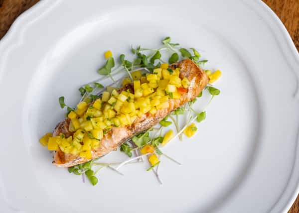 Salmon