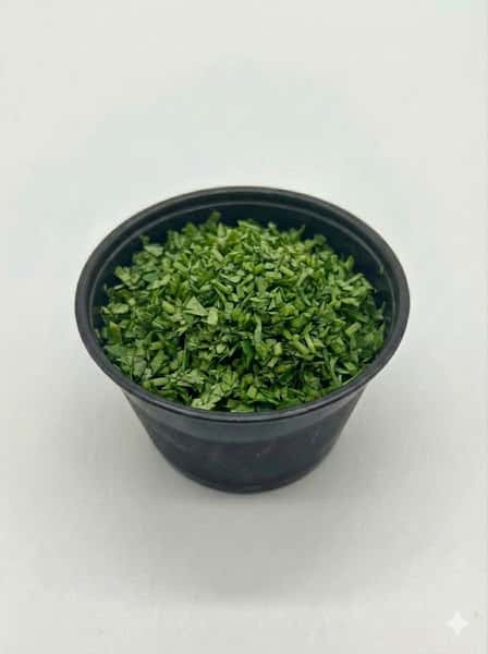 Side Of Cilantro