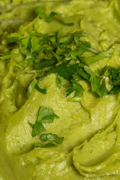 GUACAMOLE