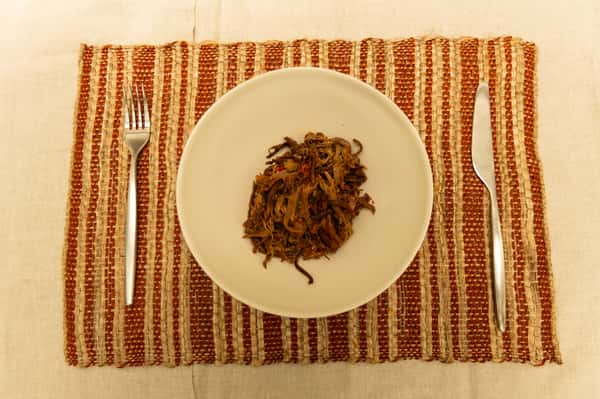 Carne Desmechada