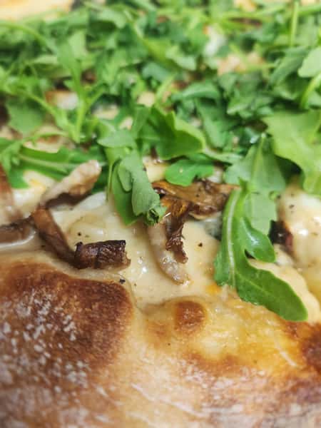 Mushroom Pizza