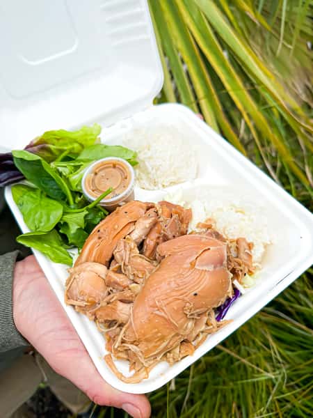 Shoyu Chicken