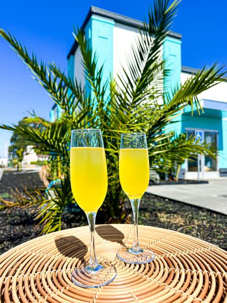 Mimosa