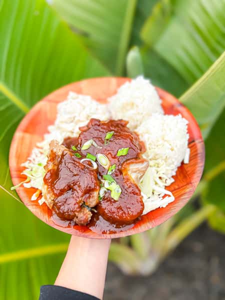 BBQ Teri Chicken