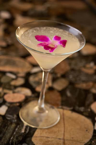 Hawaiian River Orchid Martini