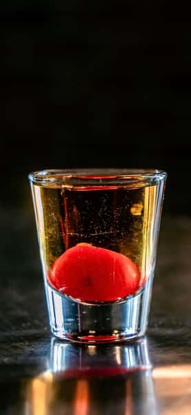 Mezcal and Montenegro