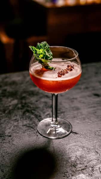 Cocktail