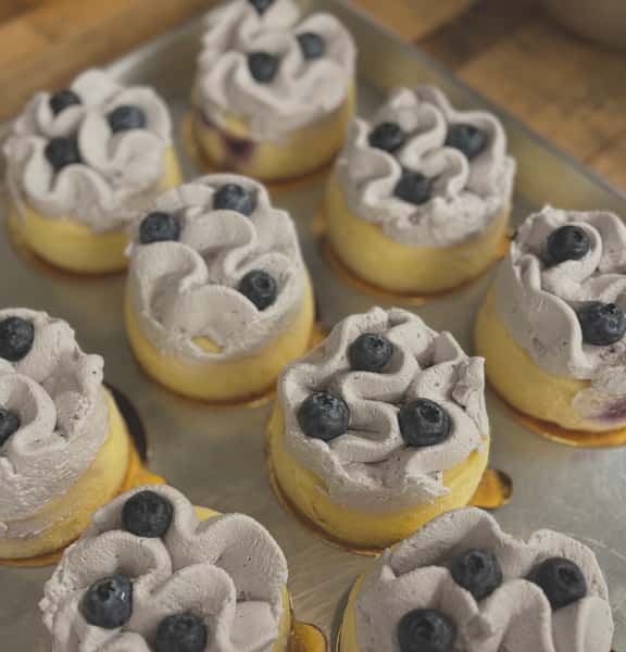 Blueberry Lemon Cheesecake