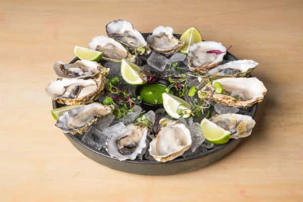 Oysters