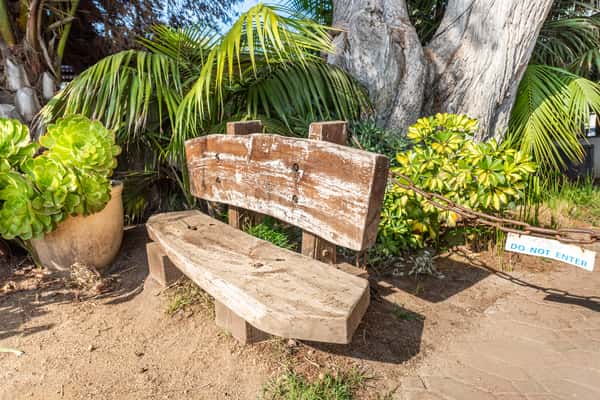rustic bench