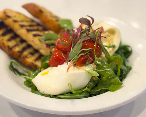 Burrata