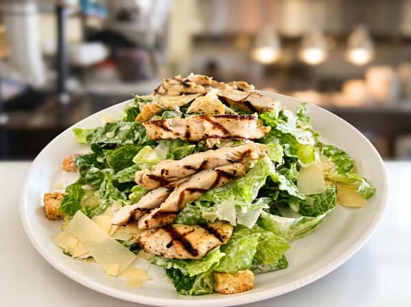 Caesar salad with grilled chicken, romaine lettuce, parmesan cheese, and croutons on a white plate.