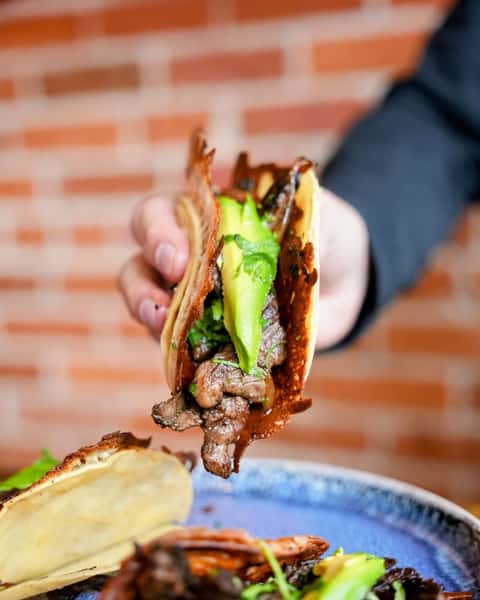 Pro tip: always get the Quesa Taco with your choice of meat. 🌮😋🎉
.
.
.
.
#quesatacos #tacosofinstagram #littletoncolorado #ocneats