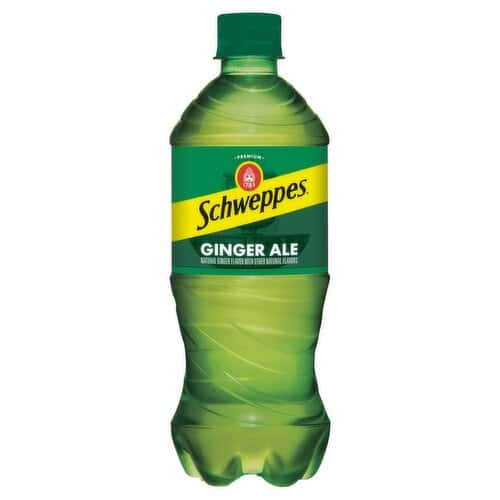 Ginger Ale 20 oz Bottle