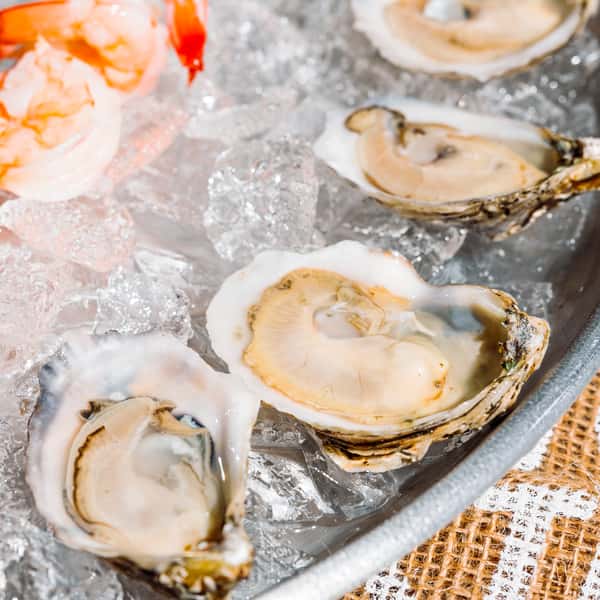 Oysters