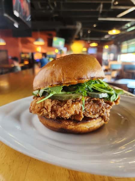 chicken sandwich