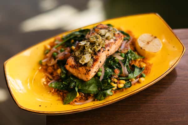 Salmon