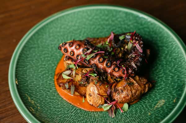 pulpo