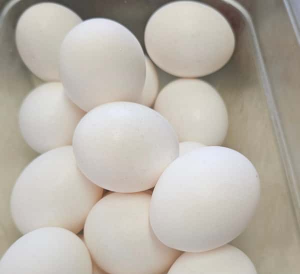 Egg
