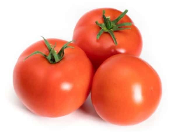 4x5 Tomato
