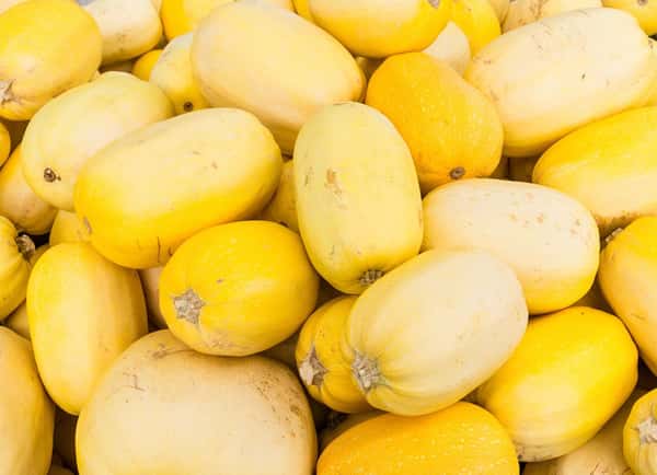 Spaghetti Squash
