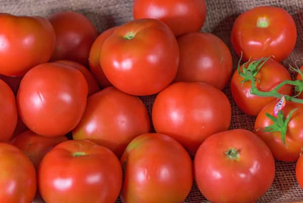 tomato