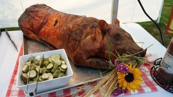 roasted pig