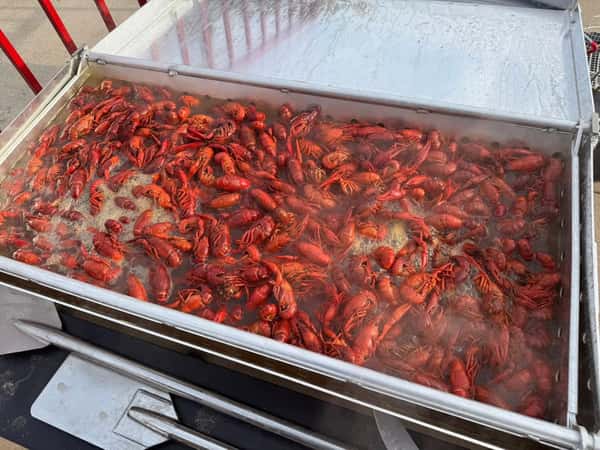 soaked and seasoned