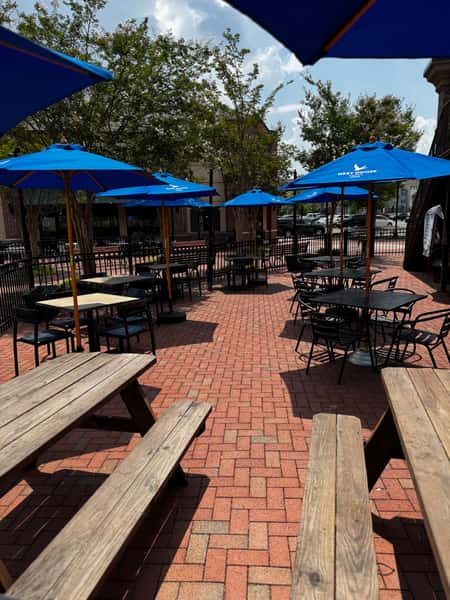 Downstairs Patio, Dog friendly