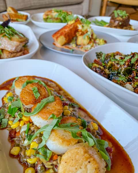 Scallops