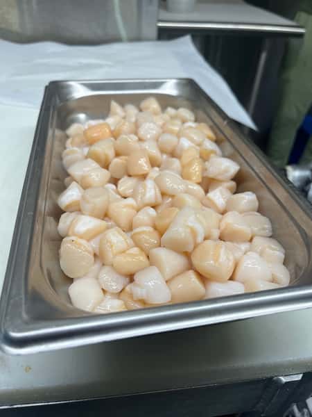 Bay scallops