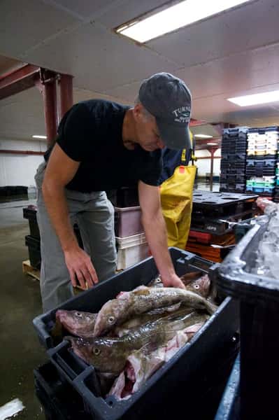 Jim Turner working at fish plant