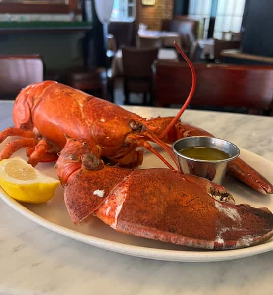 2 1/2 lb Lobster