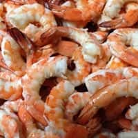 Shrimp Cocktail