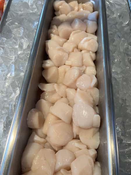 Scallop 8 oz Mkt