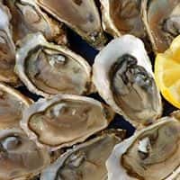 Shucking Fee