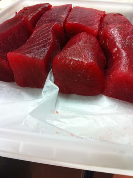 fresh tender tuna