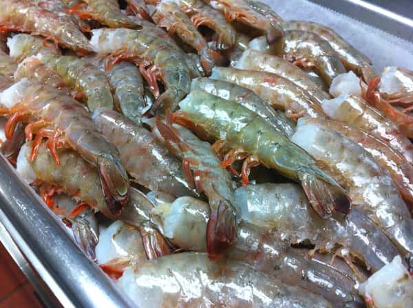 Raw U21 shrimp with shell on