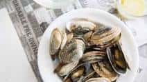 Steamers
