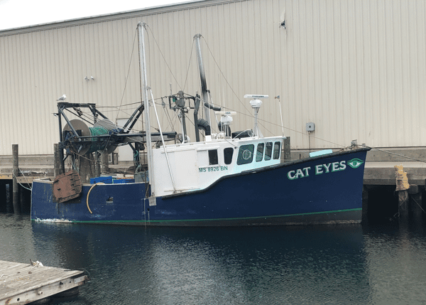 FV Cat Eyes