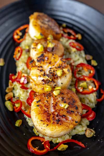 Scallops