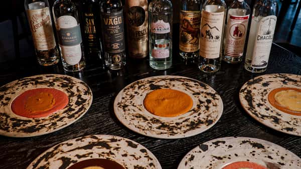 Agave and Mole Club Banner Image Webpage