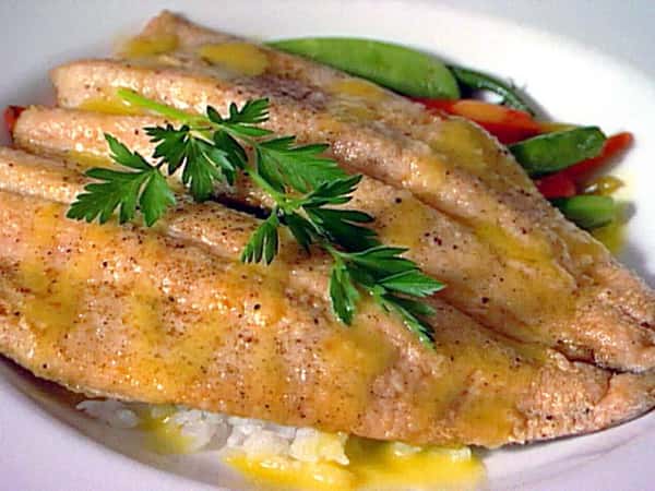 Rainbow Trout