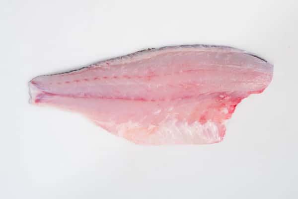Rockfish
