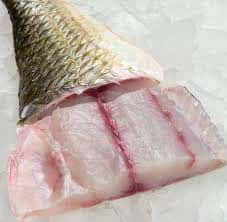 Gulf Coast Redfish