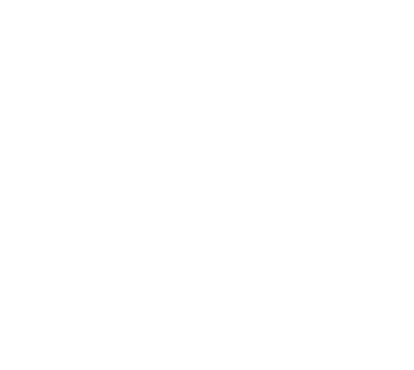 Terrzzo Logo
