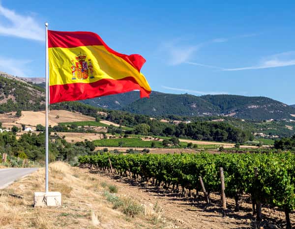 Spanish flag wine country
